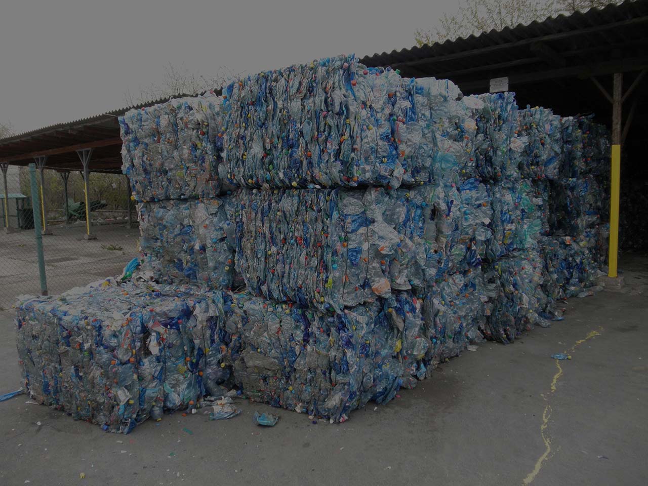 Pet Bottle Buyer