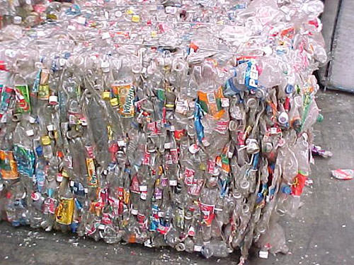 Pet Bottle Buyer