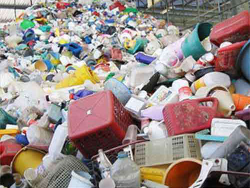 Plastic Scrap Buyer